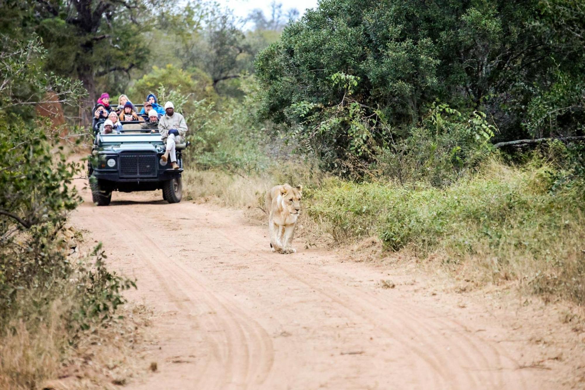 치소모 사파리 캠프 호텔 Karongwe Game Reserve 외부 사진